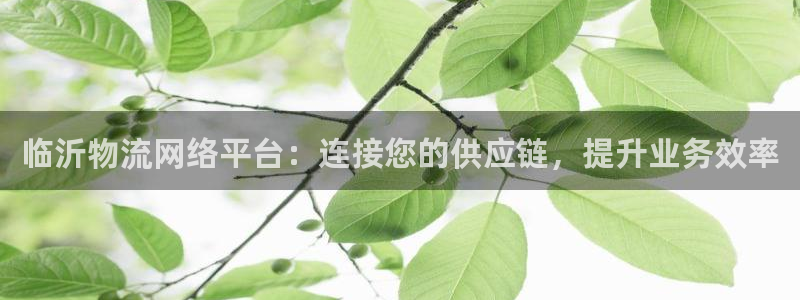 28圈下分了不给钱