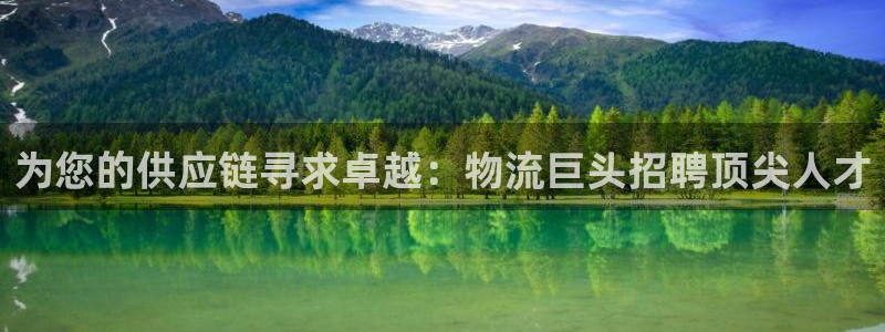 28圈分分28预测