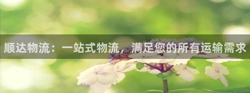 28圈如何注销账号