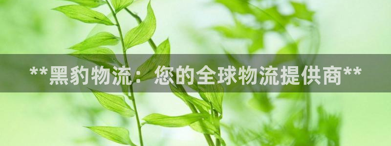28圈链接多少