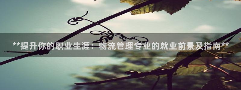 28圈模拟器在线使用：**提升你的职