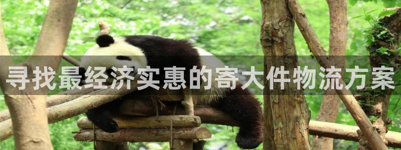 28圈连接：寻找最经济实惠的寄大件物