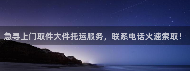 28圈代理落网