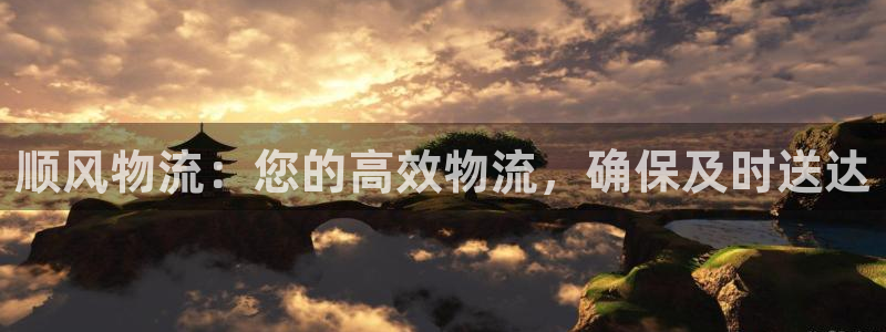 28圈怎么注册账号：顺风物流：您的高