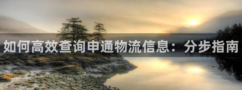 28圈注册网页版：如何高效查询申通物