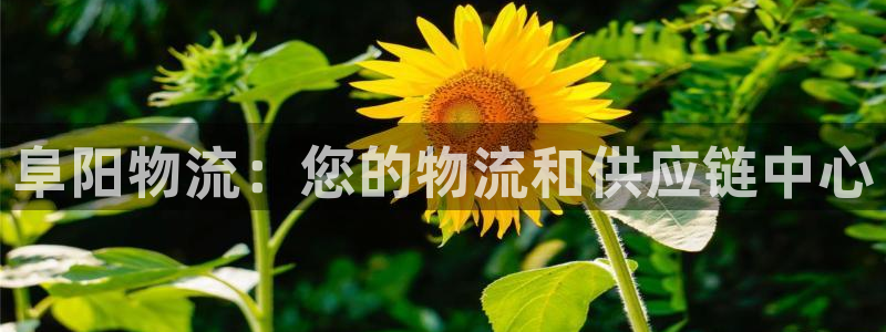 28圈软件堵什么反什么