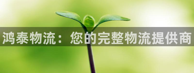 28圈最稳打法