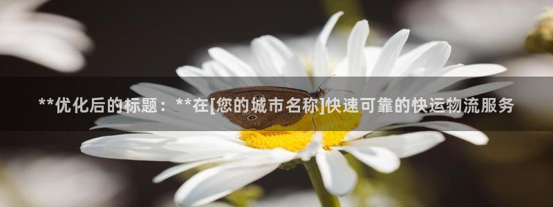 28圈充值不到账