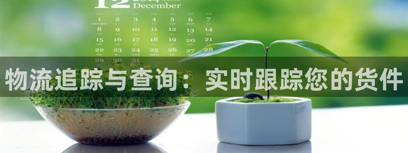 28圈反水什么时候到