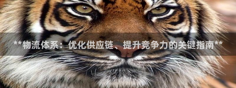 28圈推广链接是多少钱一个