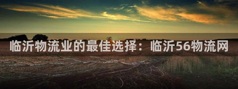 28圈加拿大怎么玩