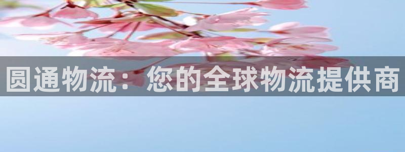 28圈加拿大真假怎么看