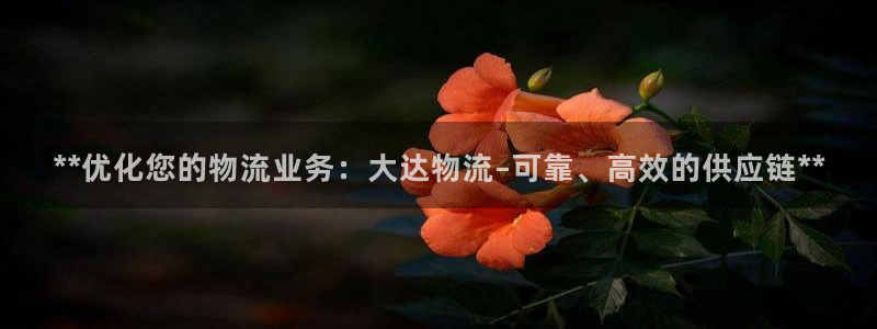 28圈赌博软件正规吗：**优化您的物