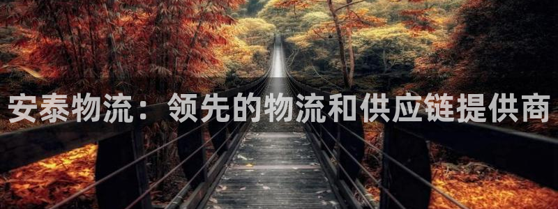 28圈.ccm：安泰物流：领先的物流