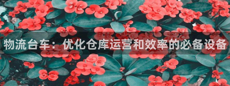 28圈登录：物流台车：优化仓库运营和