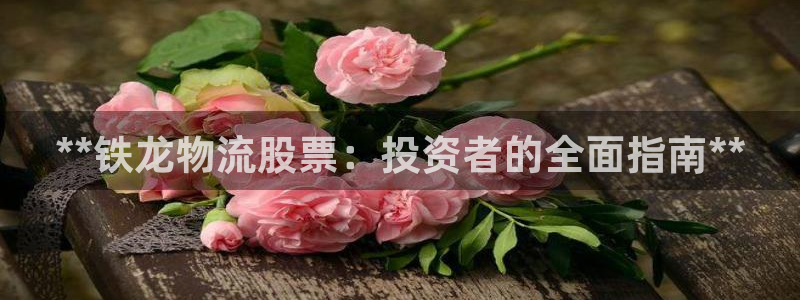 28圈登录用户名登录不上：**铁龙物
