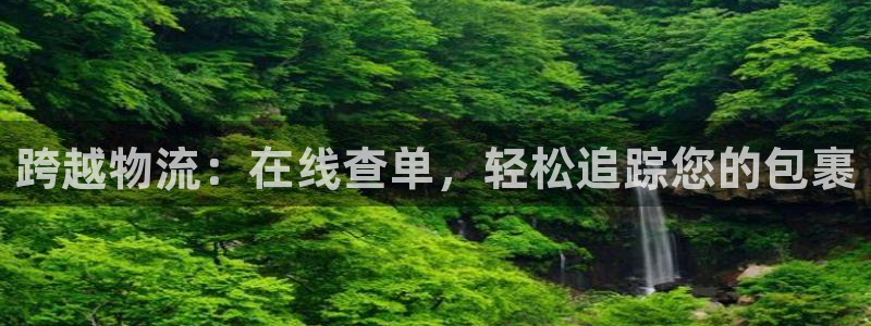 28圈系统自动保护：跨越物流：在线查