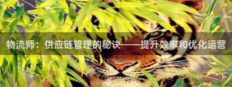 28圈游戏官网入口