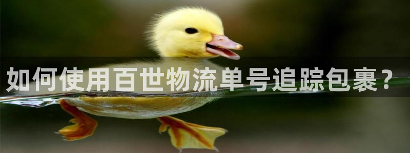 28圈加拿大怎么玩