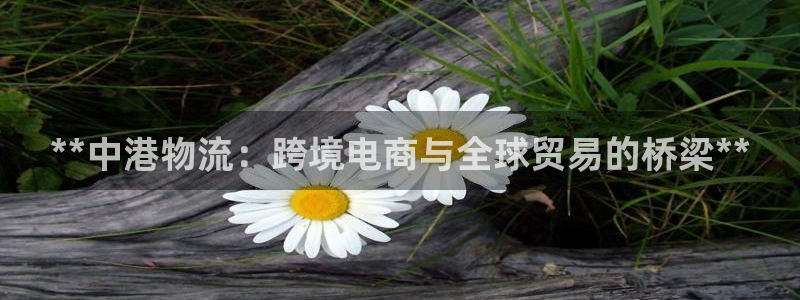 28圈加拿大走势