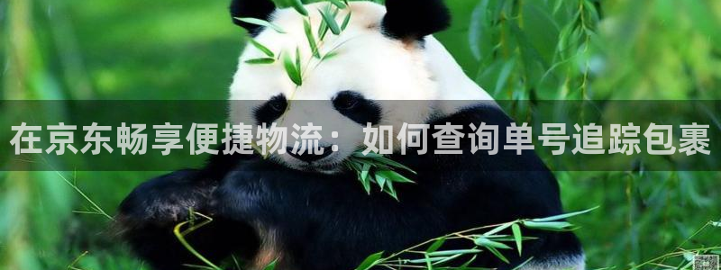 28圈的自行车：在京东畅享便捷物流：