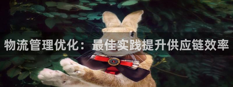 28圈注册网页：物流管理优化：最佳实