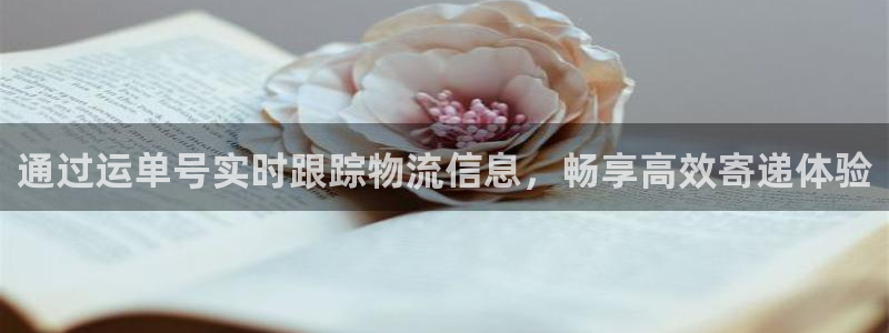 28圈正规吗?：通过运单号实时跟踪物