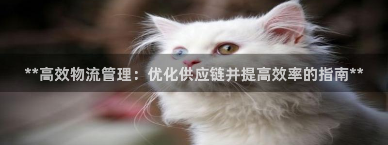 28圈推广链接是多少个