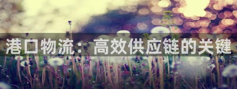 28圈绿骨头
