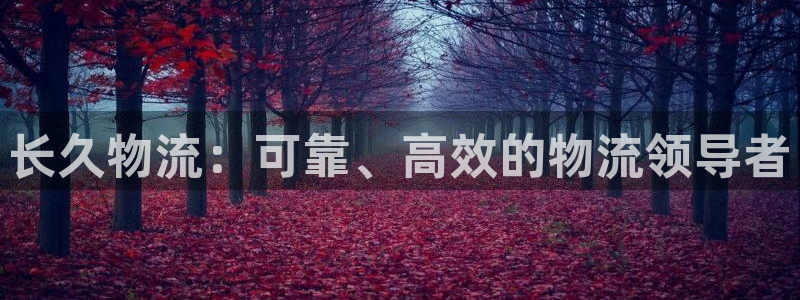 28圈赌博被抓：长久物流：可靠、高效