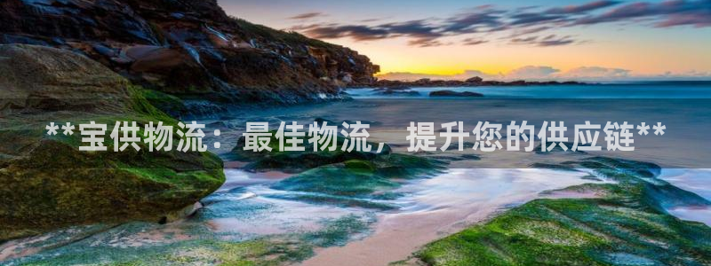 28圈大神预测
