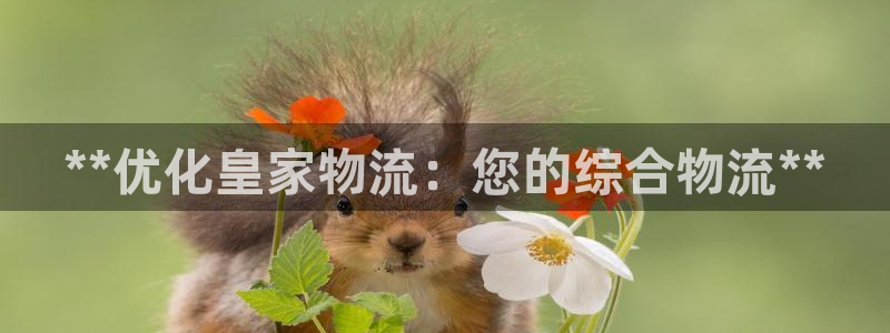 28圈.ccm南宫