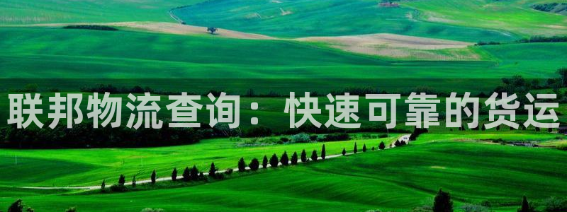 28圈是什么是赌博吗?：联邦物流查询