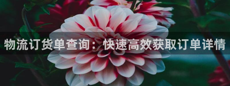 28圈代理落网：物流订货单查询：快速