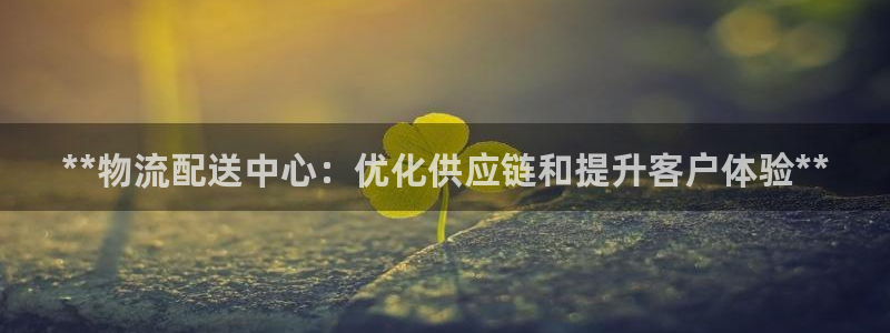 28圈旗下：**物流配送中心：优化供