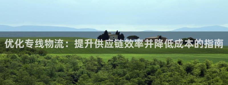 28圈提款一直没到：优化专线物流：提