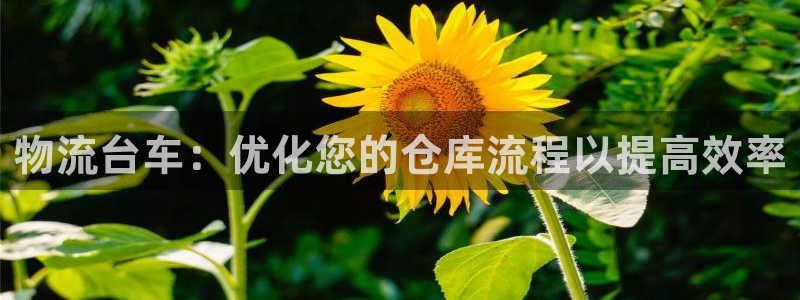 28圈官方网站