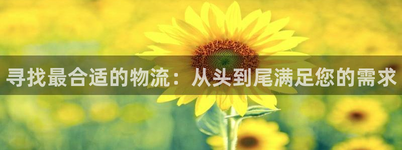 28圈怎么注册账号：寻找最合适的物流