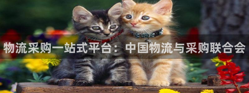 28圈.ccmpc28