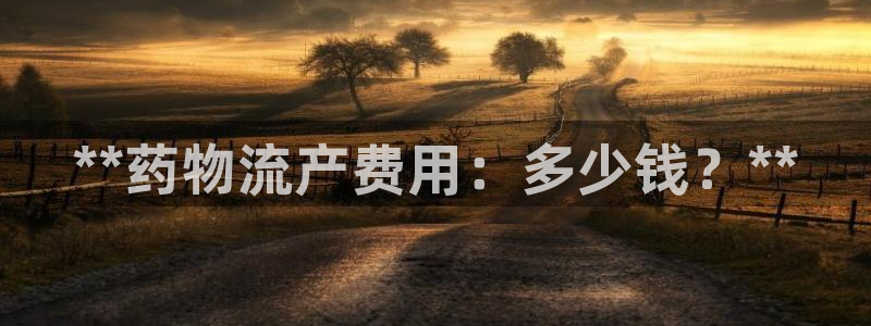 28圈模拟器在线使用：**药物流产费