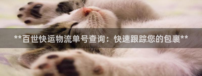 28圈pc预测