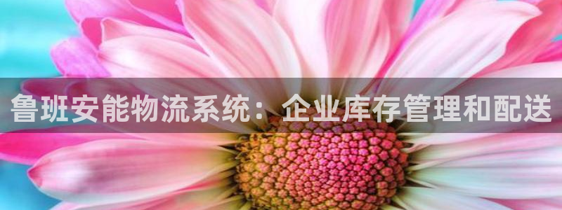28圈流水怎么算：鲁班安能物流系统：