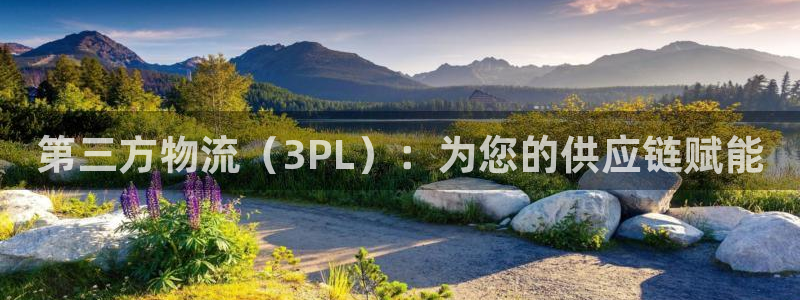 28圈头像：第三方物流（3PL）：为