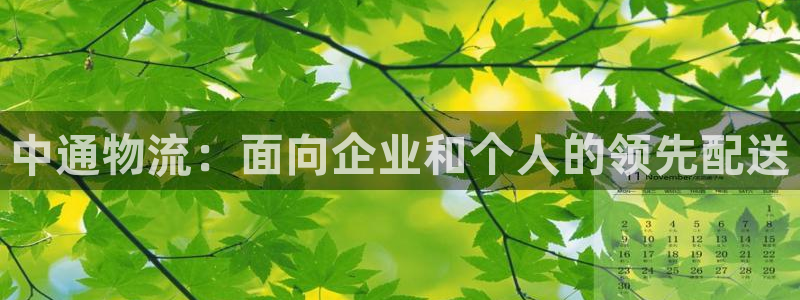 28圈赌博被抓