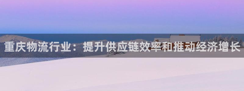 28圈注册网站多少：重庆物流行业：提