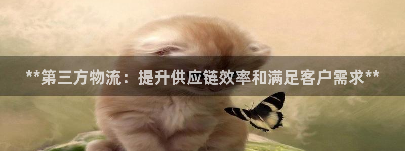 28圈软件是诈骗吗：**第三方物流：