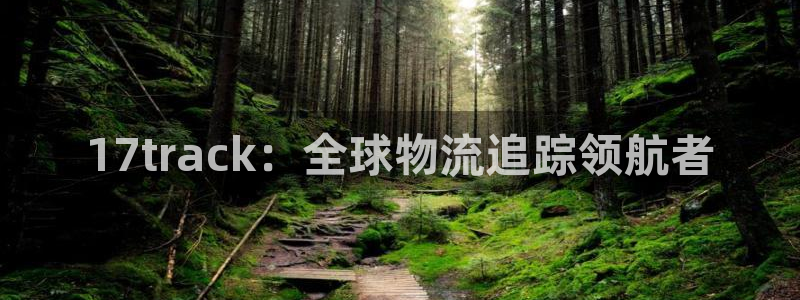 28圈app怎么注册账号：17tra