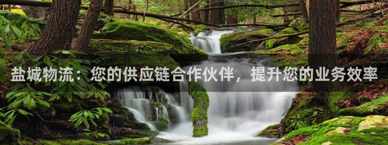 28圈是正规软件吗
