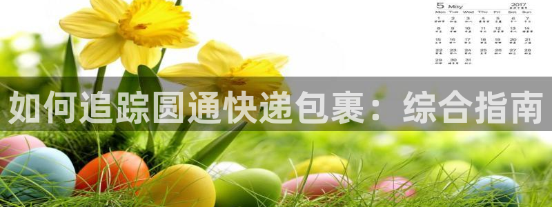 28圈激活码