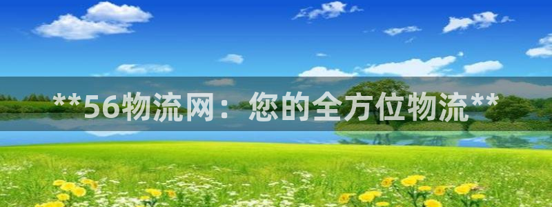 28圈代理落网